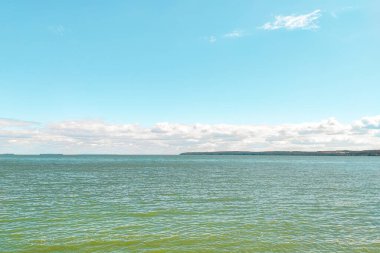 Alg çiçekleri nedeniyle nehir suyu yeşildir..