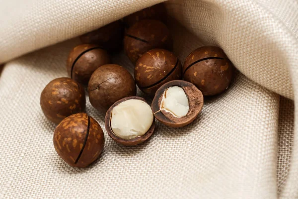 Healthy Organic Inshell Macadamia Nuts Kernel Nuts Expensive Nut Keto — Stock Photo, Image