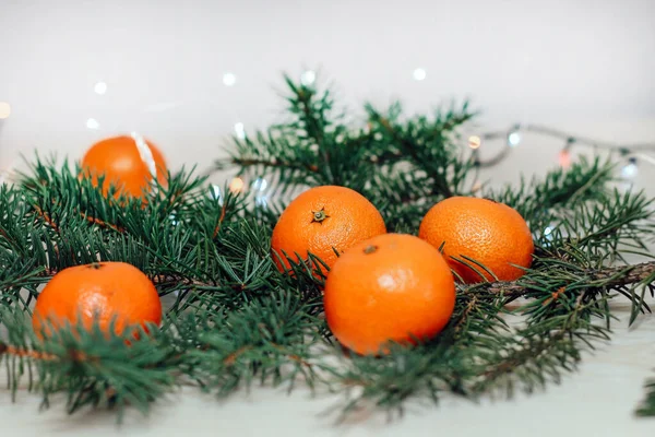 Bir Noel çelenginin arka planına karşı ladin dalında Clementines.