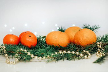 Noel arkaplanındaki ladin dalında Clementines ve mandalinalar.