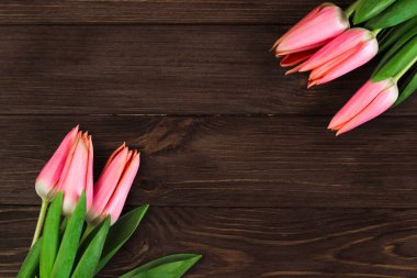 Kahverengi panoların arka planında pembe bahar laleleri. Metin için yer.