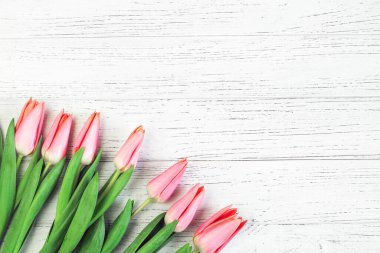 Beyaz panoların arka planında pembe bahar laleleri. Metin için yer.