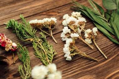 Herbaryum. Ahşap bir arka planda kurumuş otlar ve çiçekler. Gül, okaliptüs, avuç içi.