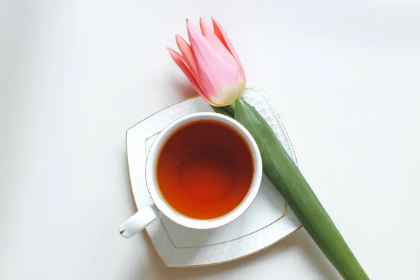 Une Tasse Thé Avec Une Tulipe Rose Minimalisme Composition Petit — Photo