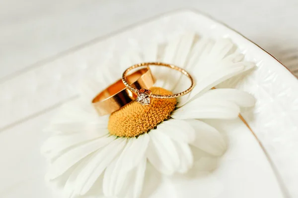 Delicadas Margaritas Cerca Con Joyas Oro Anillos Boda Los Recién —  Fotos de Stock