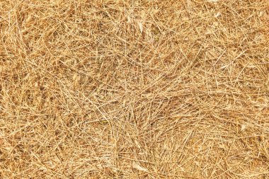 Çimleri biçen kuru otların dokusu.