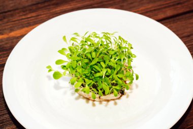 Ahşap bir zemin üzerinde yuvarlak beyaz bir maske içinde filizlenmiş yeşil yeşiller..