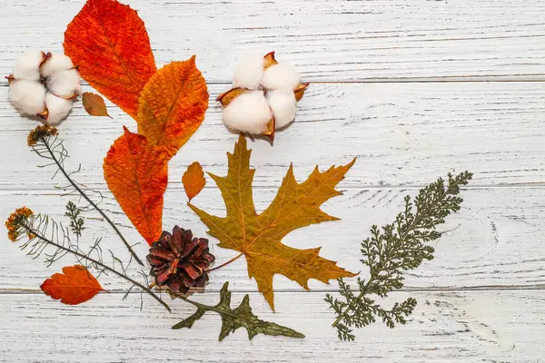 Autumn Herbarium Leaves Plants Cotton Wooden Background — Stock Photo, Image