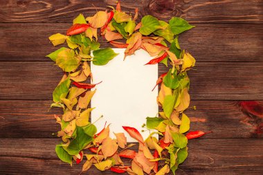Ahşap arkaplanda metin için alanı olan sonbahar yapraklarından yapılmış çerçeve.