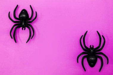 İki gerçekçi siyah örümcek parlak pembe bir yüzeyde dinleniyor ve koyu bir kontrast oluşturuyor. Bu sahne Cadılar Bayramı kutlamalarına ya da temalı partilere ürkütücü bir dokunuş eklemek için mükemmel..
