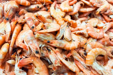 A vibrant heap of fresh shrimp is displayed at a local seafood market. The shrimp showcase their bright orange color highlighting the freshness of the catch early in the day.