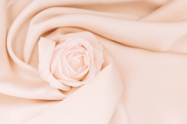A delicate pink rose rests on smooth ivory fabric forming an elegant composition. The soft textures of the flower and fabric blend harmoniously evoking feelings of calm and beauty.