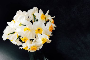 A bouquet of white and yellow daffodils sits in a black vase against a dark background. The vibrant flowers stand out beautifully showcasing their delicate petals and inviting colors.