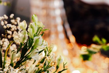 Delicate white flowers stand out in the foreground while soft warm lights come into view behind them creating a festive atmosphere during an evening gathering. The scene is inviting and vibrant.