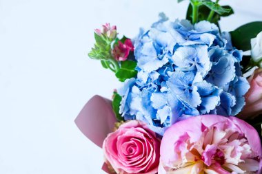 Canlı bir çiçek sergisi yumuşak pembe güller ve narin mavi ortancalar içerir. Düzenleme, doğal güzelliği ve tazeliği gözler önüne seren açık bir arkaplanda duruyor..