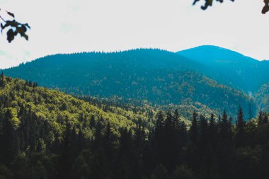 Yoğun ağaçlar ve canlı yapraklarla kaplı yeşil dağlar gururla yükselir. Güneş ışığı, açık bir günde bölgenin doğal güzelliğini vurgulayan manzarayı aydınlatır..