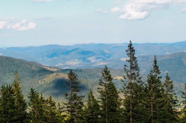 Yeşiller yemyeşil dağlar ufuk boyunca uzanıyor. Önlerinde hep yeşil ağaçlar var. Sahne, açık hava aktiviteleri için mükemmel güneşli bir gün yakalar ve güzelliği takdir eder..