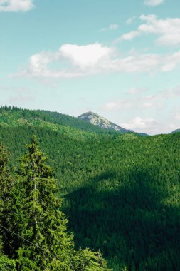 Geniş yeşil dağlar, çeşitli ağaç hatları ve yavaşça yuvarlanan tepelerle dolu parlak bir gökyüzü altında uzanıyor. Bu huzurlu sahne, doğanın güzelliğini huzurlu bir ortamda yakalıyor..