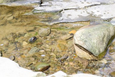 Dalgalar çekildiğinde kayaların arasında toplanan berrak su dingin bir havuz oluşturuyor. Güneş ışığı yüzeyden yansıyarak altındaki çakıl taşlarını vurgular. Sahne doğada sükuneti çağrıştırıyor..