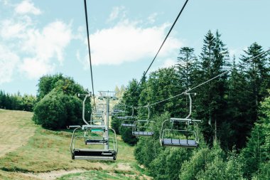 Asansör, ağaçların ve uzak tepelerin çarpıcı manzarasını sunan canlı yeşil bir ormandan yükseliyor. Gökyüzü parlak. Neşeli bir açık hava ortamı yaratıyor. Yaz maceraları için mükemmel..