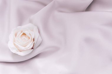 Beyaz ve soluk pembe tonlarında yumuşak bir çiçek yumuşak hafif kumaşın üzerinde uzanıyor. Kumaş, çiçekleri güzelleştiren sakin bir zemin oluşturur..