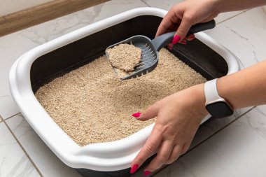 Kum gibi kum dolu bir kedi kumu kutusunu temizlemek için bir kepçe kullanıyor. Konum, fayanslarla döşenmiş bir zeminde, uygun hayvan bakımı ve hijyen uygulamalarını gösteriyor..