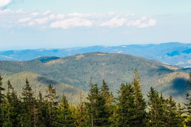Bu manzarada açık mavi gökyüzünün altında yuvarlanan yeşil dağlar ve dağınık bulutlar görülüyor. Uzun kozalaklı ağaçlar ön planı çerçeveler ve sakin atmosfere katkıda bulunur..