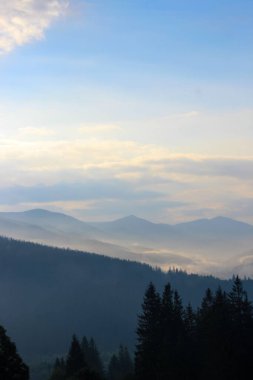 Early morning mist blankets the mountains creating a peaceful scene. Trees stand tall in the foreground as layers of hills rise in the distance bathed in soft light from the rising sun.