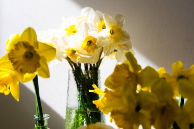 A vibrant bouquet of yellow and white daffodils is placed in a clear glass vase. Sunlight streams in highlighting the delicate petals and creating a warm atmosphere in the cozy room.