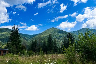 Tüylü beyaz bulutlarla dolu açık mavi gökyüzünün altında yemyeşil dağlar uzanıyor. Ön planda kır çiçekleri ve uzun otlar doğada huzurlu bir yaz manzarası yaratıyor..