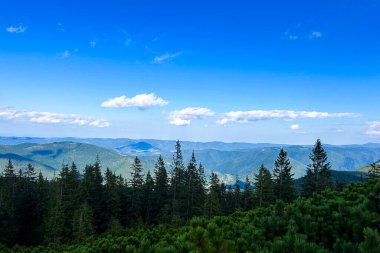 Açık mavi gökyüzünün altında nefes kesici bir dağ manzarası uzanıyor. Bereketli yeşil ağaçlar manzarayı çerçeveliyor. Sakin ve huzurlu bir atmosfer yaratıyor. Açık hava keşfi için mükemmel..