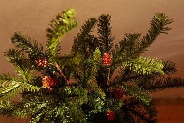 Küçük kozalaklı parlak yeşil dallar basit bir düzende bir arada duruyorlar. Bu ekran kış mevsimi için hazır. Ortam bir ev ya da etkinlik için samimi bir ortam sunuyor.