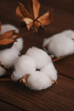 Beyaz lifli pamuk tokaları ve kahverengi ahşap bir masada kurumuş kahverengi yapraklar. Doğal ayar pamuğu doğal renklerle basit bir düzende sergiliyor..