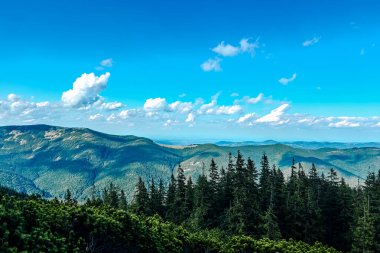 Bu manzaralı manzarada yuvarlanan tepeler canlı yeşil ağaçlarla kaplı parlak mavi bir gökyüzü altında kabarık bulutlarla kaplı. Barışçıl atmosfer keşif ve maceraya davetiye çıkarır..