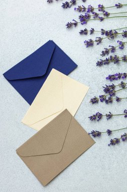 Açık bir yüzeyde kurutulmuş lavanta çiçeklerinin yanına üç farklı renk zarfı konur. Zarflar mavi krem ve bej renkte. Olay yeri düzenli ve düzenli görünüyor..