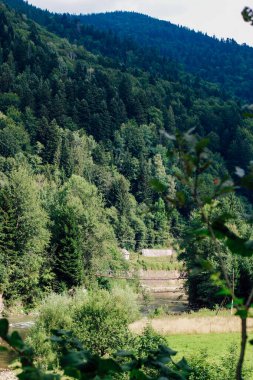 A scene shows a green forest with tall trees and hills in the background. A river flows gently below passing through grassy areas. The sky is clear creating a sunny atmosphere.