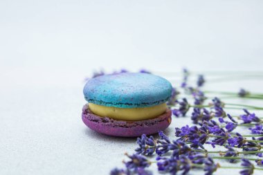 Bir makaron taze lavanta çiçekleriyle çevrili düz bir yüzeyde oturur. Makaronun mavi bir üst tabakası ve ortasında sarı dolgu olan mor bir alt tabakası vardır. Güneşli bir gün..