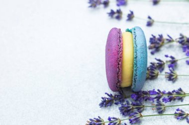 İki makaron, lavanta çiçekleriyle çevrili düz bir yüzeyde otururlar. Bir badem kurabiyesi mor, sarı dolgulu ve diğeri mavi. Bu düzen yumuşak doğal ışıkla aydınlanıyor..