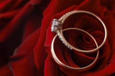 İki yüzük kırmızı bir gülün üzerinde duruyor. Bir yüzük parlak bir mücevher, diğeri ise basit bir altın bilezik içeriyor. Bu sahne aşkı ve bağlılığı temsil eden bir anı yakalar..