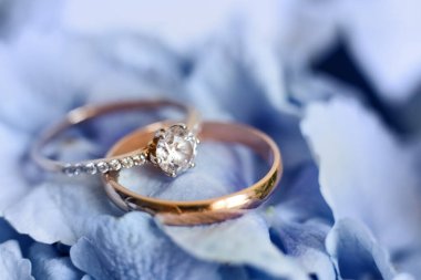 İki alyans, güneş ışığı altında yumuşak mavi ortanca yapraklarının üzerinde duruyor. Bir yüzükte elmas, diğerinde ise pürüzsüz ve basit. Ortam o ana doğal bir dokunuş sağlıyor..