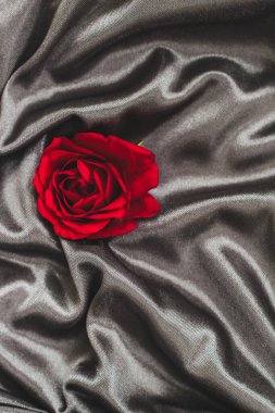 Kırmızı bir gül pürüzsüz koyu kumaşa dayanır. Çiçeğin taç yaprakları yumuşak arka planda zengin renkler sergiliyor. Işık, hem gülün hem de kumaşın dokusunu ve detaylarını vurgular.