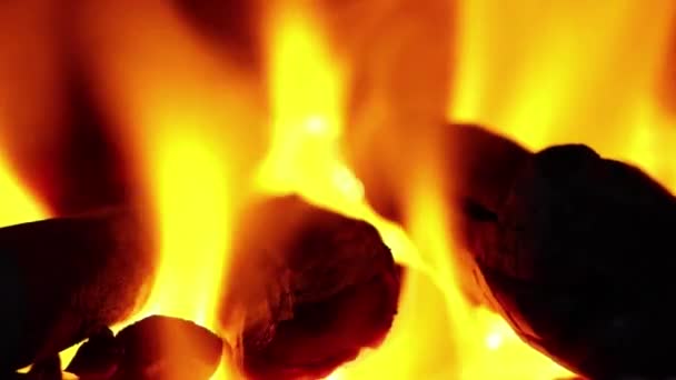 O fogo está queimando lenha no fogão . — Vídeo de Stock