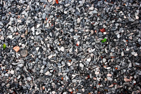 Piedras de guijarro fondo. — Foto de Stock