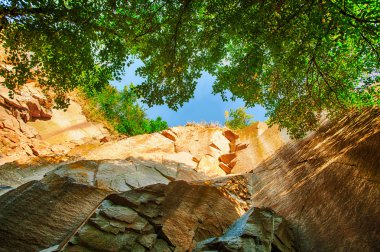 Cliff ve sabah yaz güneş ışığı içinde ağaçlar