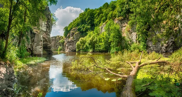 gornij tikich dağ nehir Kayalıkları ve içinde buki düşmüş ağaç