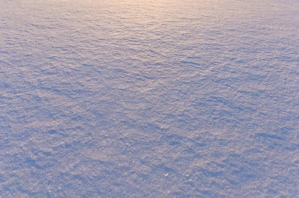 Snow surface texture in evening sunlight — Stock Photo, Image