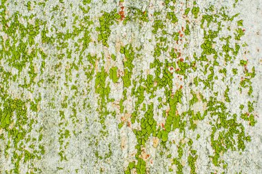 Yeşil beyaz duvar boyası kırık