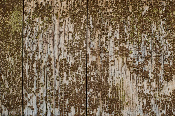 Popraskaný nátěr na dřevo zeď — Stock fotografie