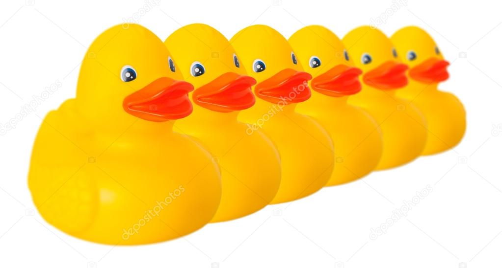 Toy rubber ducks in line