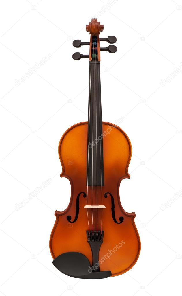 Close-up of violin